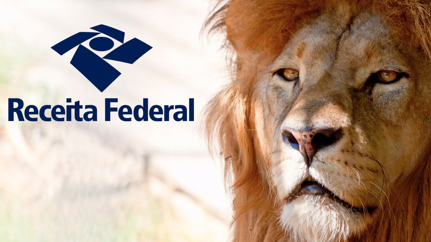 O Simbolismo do Leão na Receita Federal: Uma Jornada de