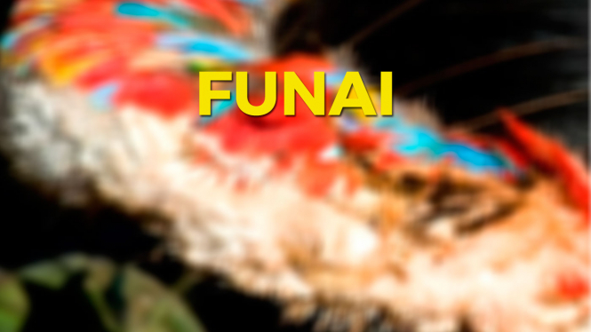 Concurso FUNAI