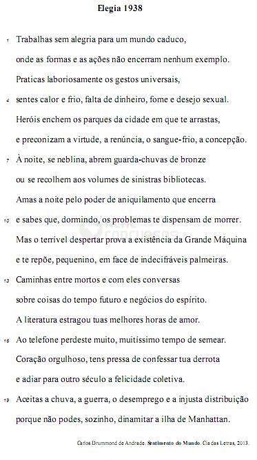 imagem-006.jpg