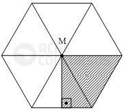 imagem-007.jpg