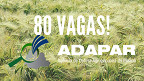 Cebraspe fará o concurso da ADAPAR com 80 vagas
