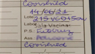 Modelo de cartão de vacinação com lote de vacina Modelo de cartão de vacinação com lote de vacina