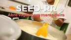 SEED-RR abre processo seletivo com 274 vagas de até R$ 3,7 mil
