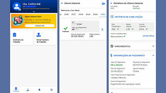 Consulta na CTPS Digital mostra se o Pis/Pasep está habilitado para saque. Imagem: Ache Concursos.