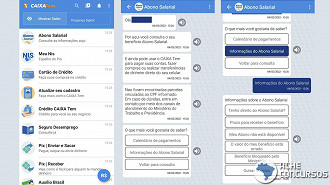 Consulta do Pis pode ser feita pelo app Caixa Tem. Imagem: Ache Concursos.