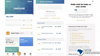 Aplicativo FGTS oferece consulta ao saldo de todas as contas. Imagem: Ache Concursos
