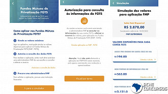 Simulação mostra valores disponíveis para aplicação no FMP-FGTS.