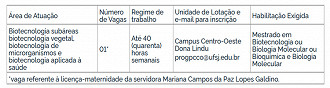 Concurso UFSJ-MG: Professor Substituto