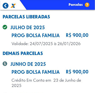 Consulta do Bolsa Família pode ser feita no Portal Cidadão - Reprodução.
