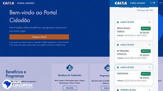 Consulta ao Bolsa Família está disponível no Portal Cidadão