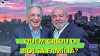 Quem criou o Bolsa Família? FHC ou Lula?
