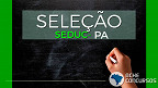 Seduc-PA abre novo Processo Seletivo em 2023