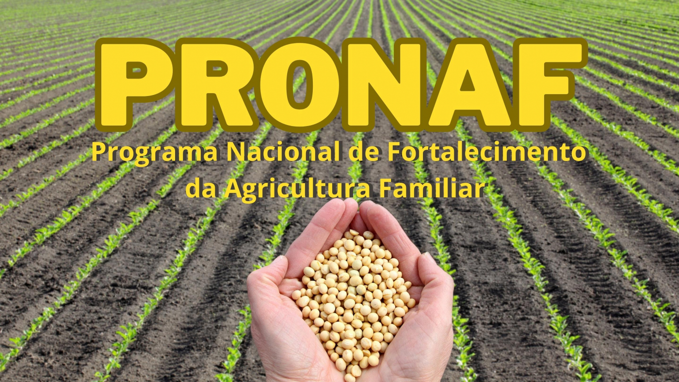 Créditos: Reprodução/Canva