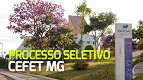 CEFET MG seleção com vagas para Professor Substituto CEFET MG seleção com vagas para Professor Substituto