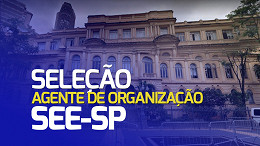 Governo de SP autoriza 14.403 vagas para Agentes de Organização da SEE