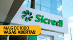 SICREDI tem mais de mil vagas abertas no mês de abril; veja como se inscrever SICREDI tem mais de mil vagas abertas no mês de abril; veja como se inscrever