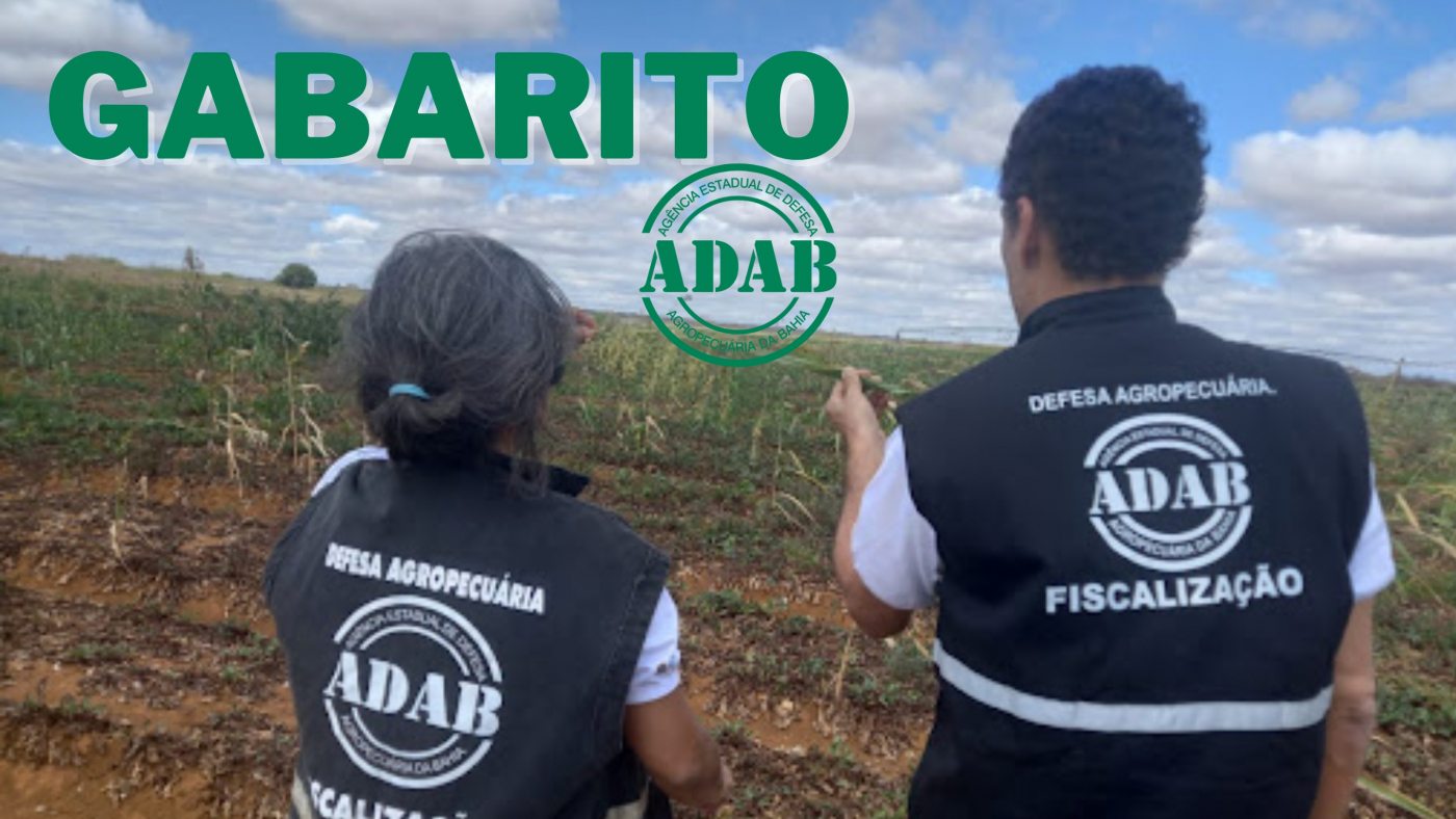 Créditos: Divulgação/ADAB-BA