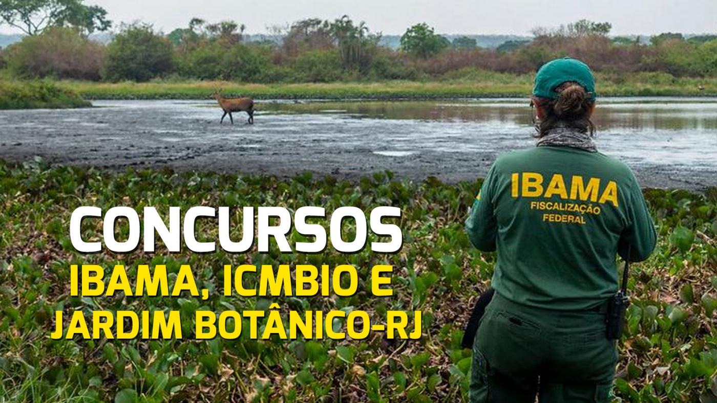 Fonte: Divulgação IBAMA