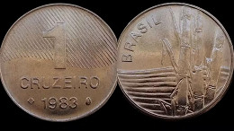 Real ou fake? Moeda de 1 cruzeiro pode valer até R$ 200 mil Real ou fake? Moeda de 1 cruzeiro pode valer até R$ 200 mil