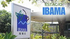 Estágio Ibama: inscrições abertas para nível médio e superior