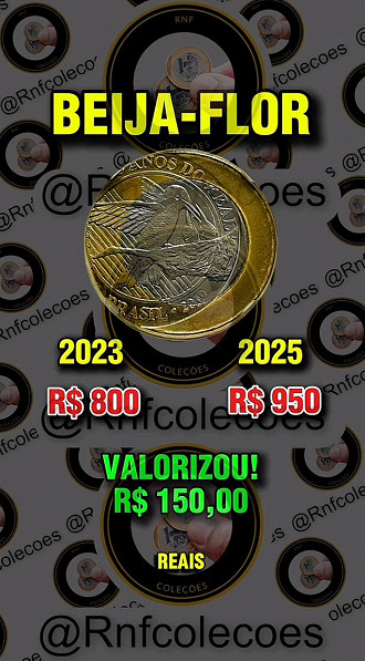 Créditos: Divulgação/RNF Coleções Créditos: Divulgação/RNF Coleções
