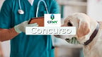Edital CFMV 2025 saiu! Vagas de R$ 11.031