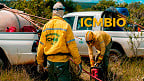 Processo Seletivo ICMBIO: dois editais no ES em Junho