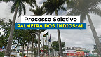 Processo Seletivo Prefeitura de Palmeira dos Índios-AL abre 112 vagas