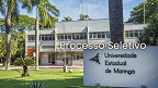 Universidade de Maringá-PR abre vagas para Professor