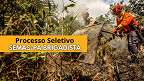 SEMAS abre 112 para Brigadista Florestal Voluntário no Pará