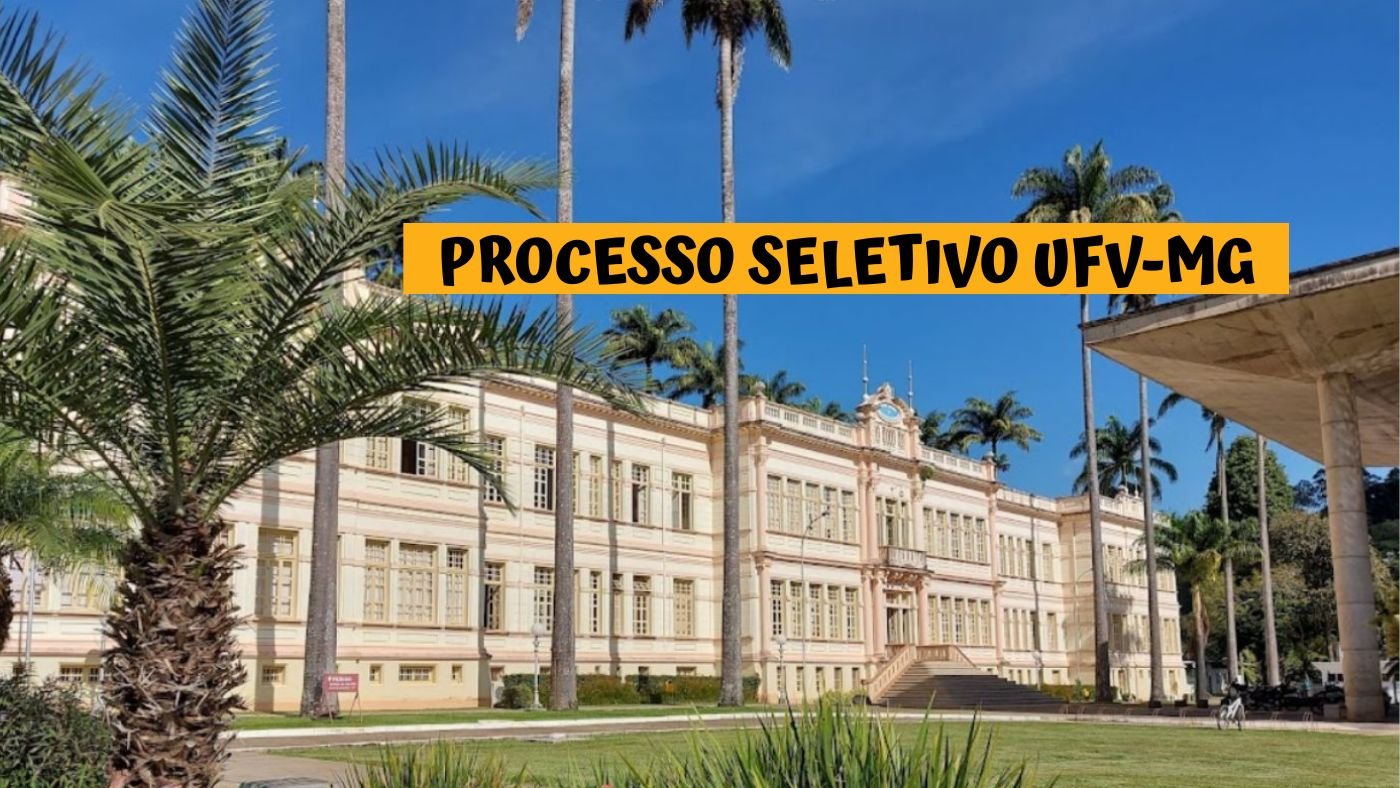 UFV-MG abre seleção para Professor de Informática