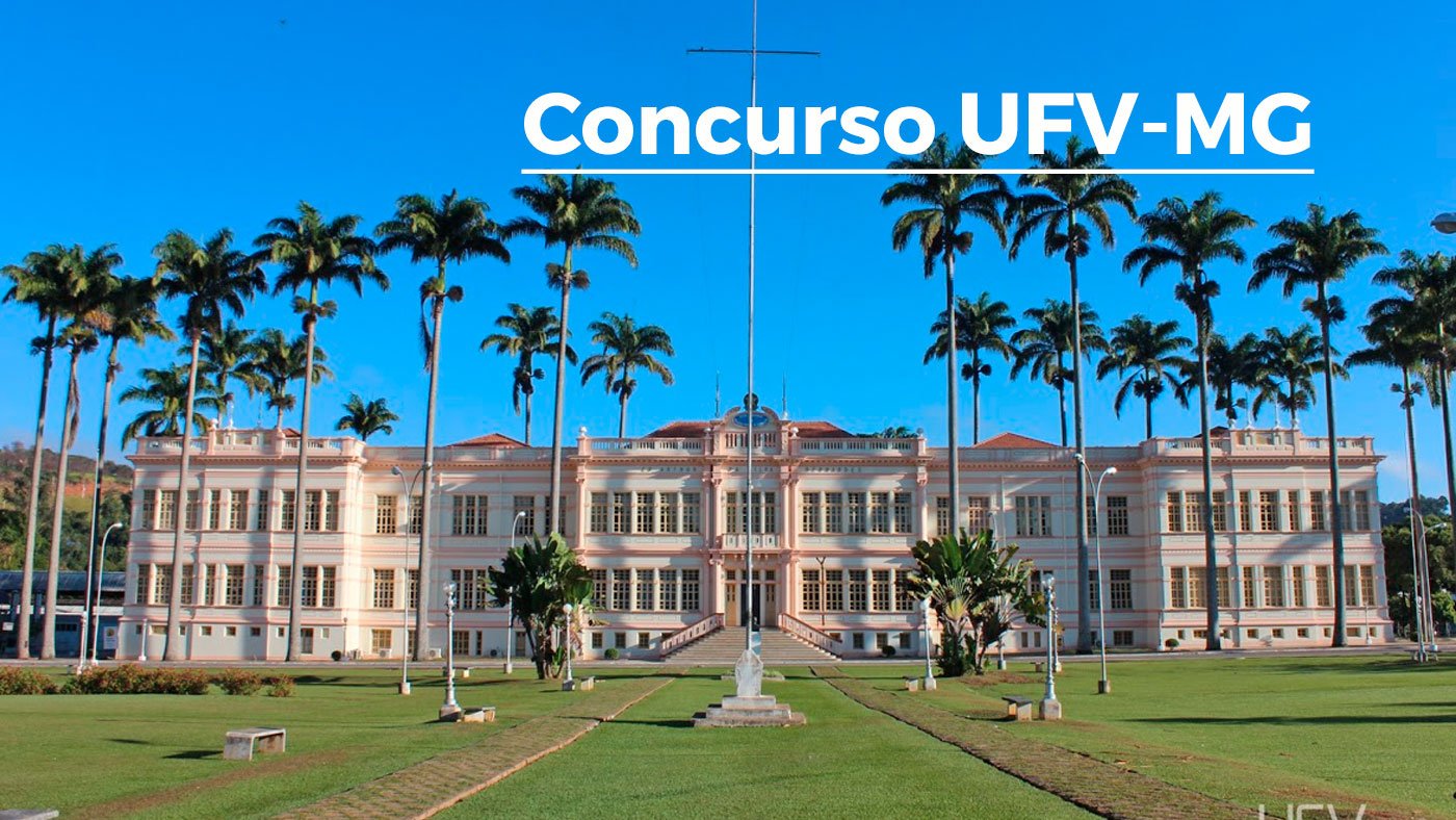 UFV-MG abre concurso para Professor em Programação