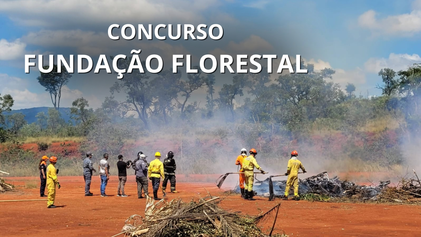 Créditos: Divulgação/Fundação Florestal