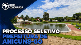 Prefeitura de Anicuns-GO abre quase 100 vagas de até R$ 3.642 Prefeitura de Anicuns-GO abre quase 100 vagas de até R$ 3.642