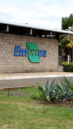 Concurso EMBRAPA 2024: Edital é publicado com 1.027 vagas